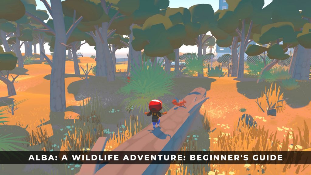 Alba: A Wildlife Adventure攻略：初学者入门指南