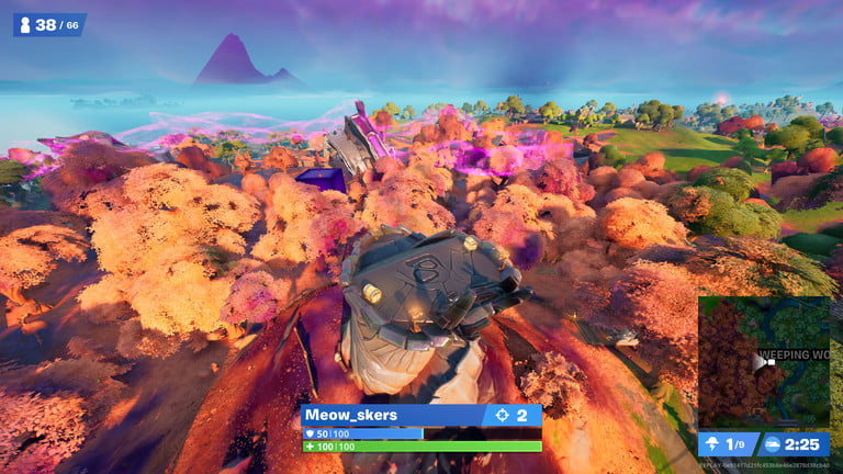尖塔在 Fortnite 的 Weeping Woods 西邊。