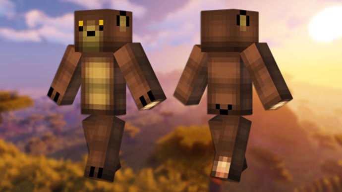 Bear Minecraft 皮膚的正面和背面視圖。