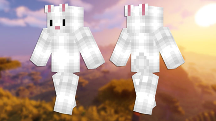 Bunny Minecraft 皮膚的正面和背面視圖。