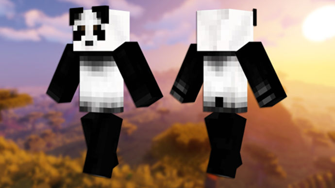 Panda Minecraft 皮膚的正面和背面視圖。