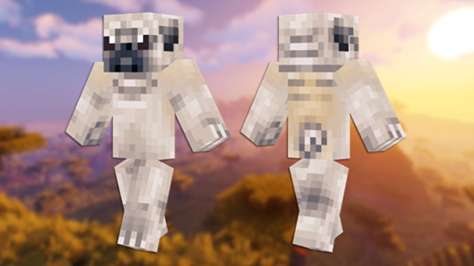 Pug Minecraft 皮膚的正面和背面視圖。