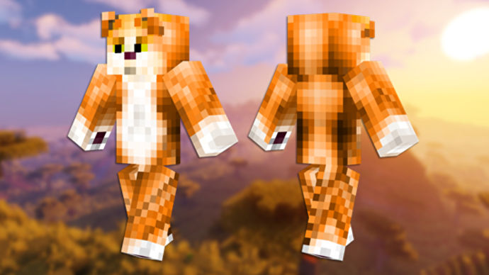 Tabby Cat Minecraft 皮膚的正面和背面視圖。