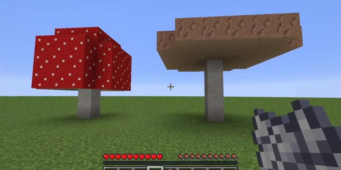 Minecraft蘑菇種植提示和指南：如何種植蘑菇？