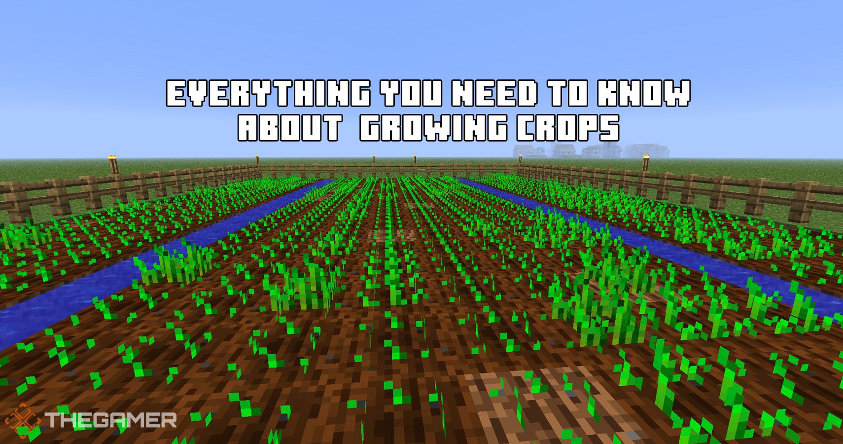 Minecraft種植作物攻略：這是你需要知道的所有事情