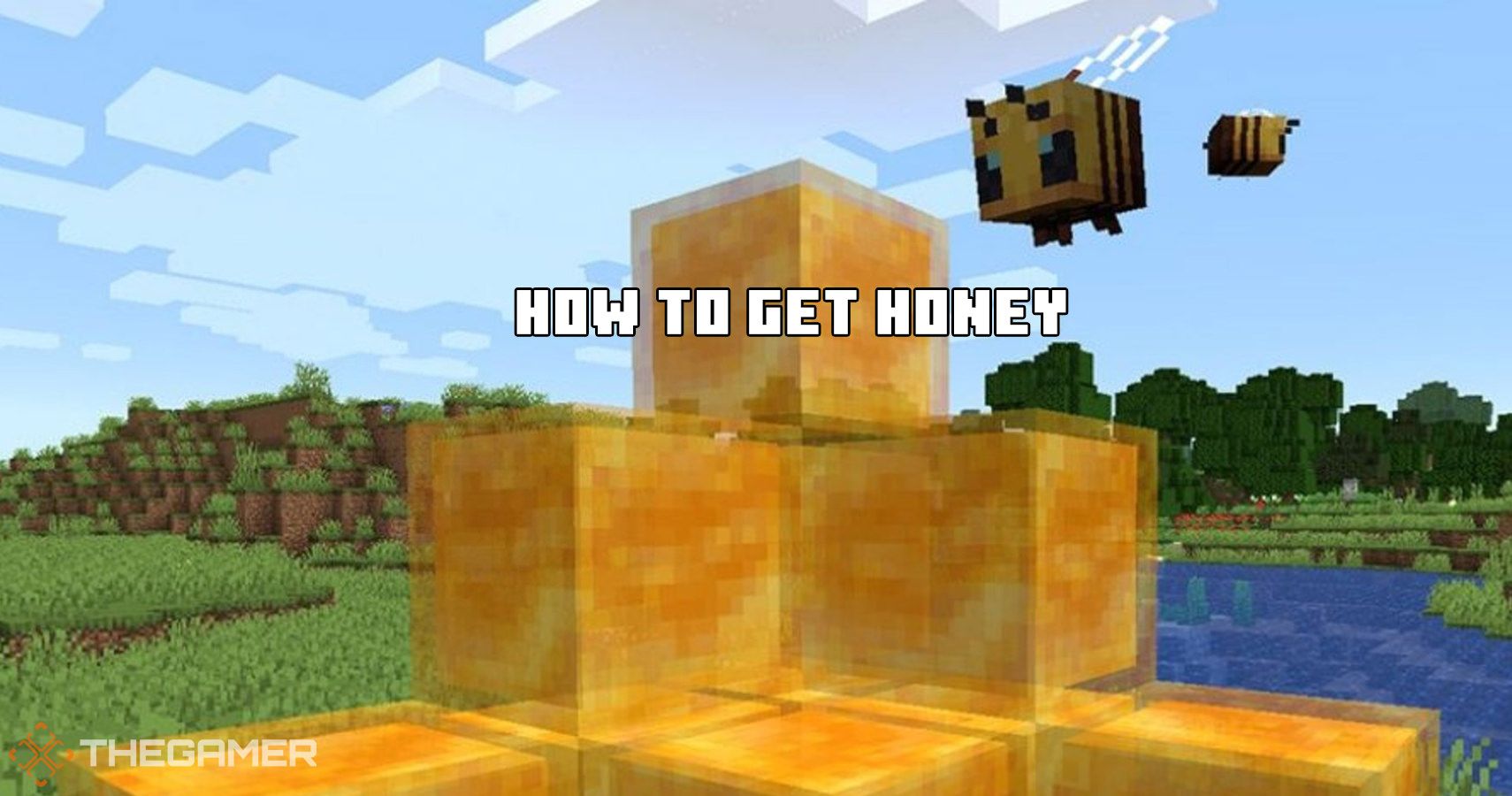 Minecraft蜜蜂攻略：如何獲取蜂蜜及其作用提示和指南