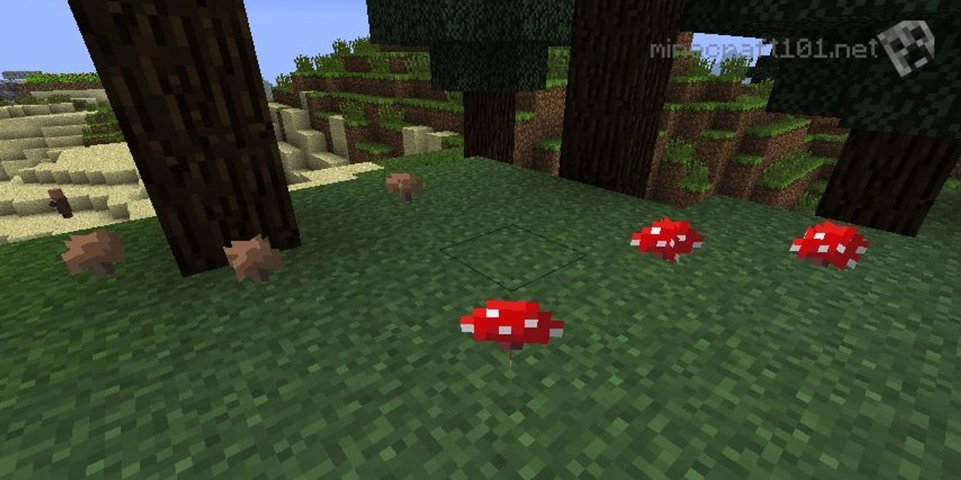 Minecraft蘑菇種植提示和指南：如何種植蘑菇？