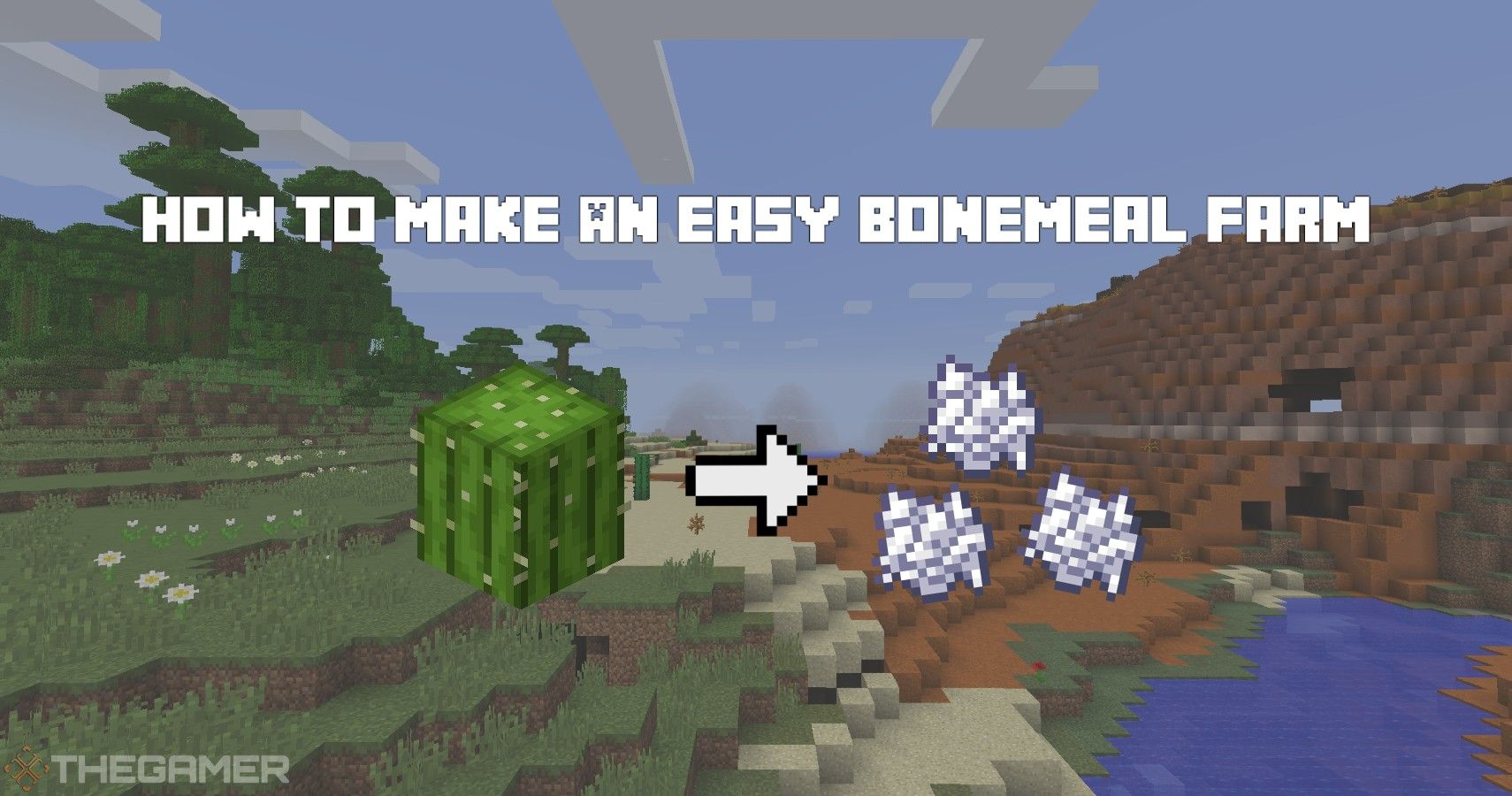 Minecraft骨粉農場攻略:如何製作簡單的骨粉農場?